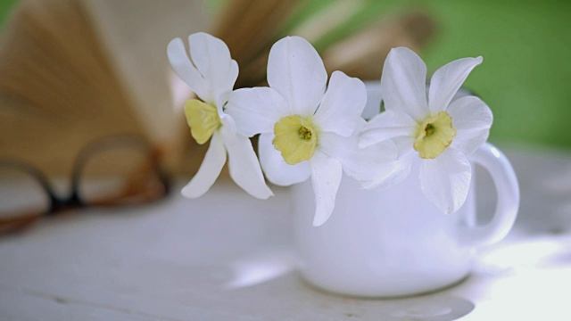 Cinemagraph -书和水仙在一个马克杯上的木桌。