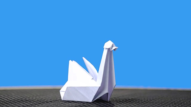 蓝色背景上的白色折纸天鹅。