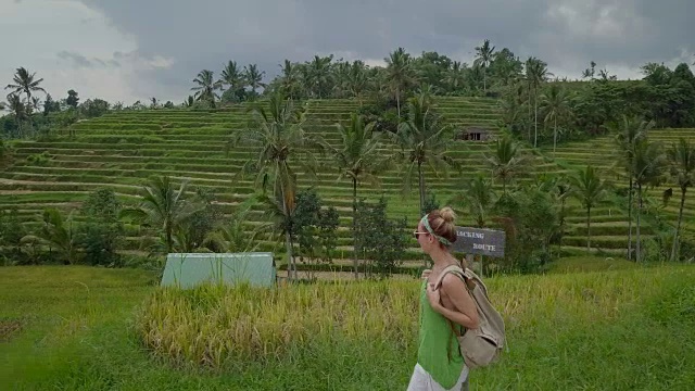 无人机从空中拍摄的年轻女子在印尼巴厘岛的梯田中漫步。徒步旅行的人概念