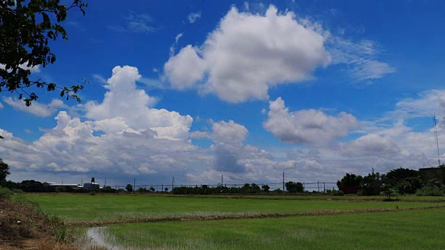 泰国中午，稻田上飘动的云和蓝天，时光流逝