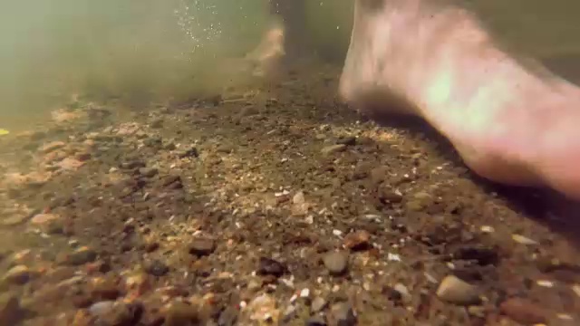 脚行走在湖底与沙子和海藻