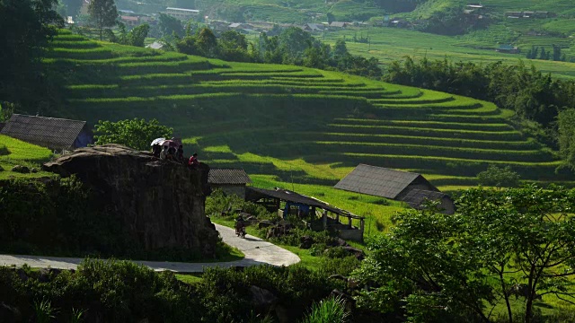 在亚洲越南萨帕骑摩托车穿过风景优美的梯田
