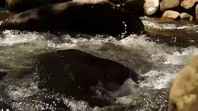 水从岩石中奔流而下