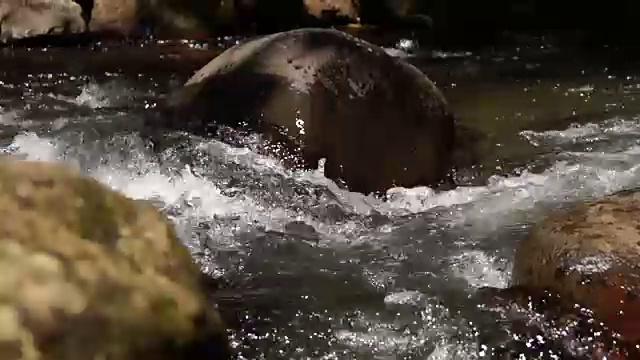 水从岩石中奔流而下