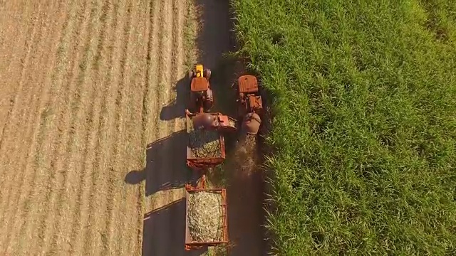 甘蔗收获种植园空中