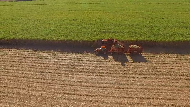 甘蔗收获种植园空中