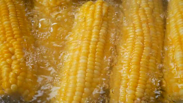 近距离拍摄玉米在火锅中煮高维生素水果和蔬菜