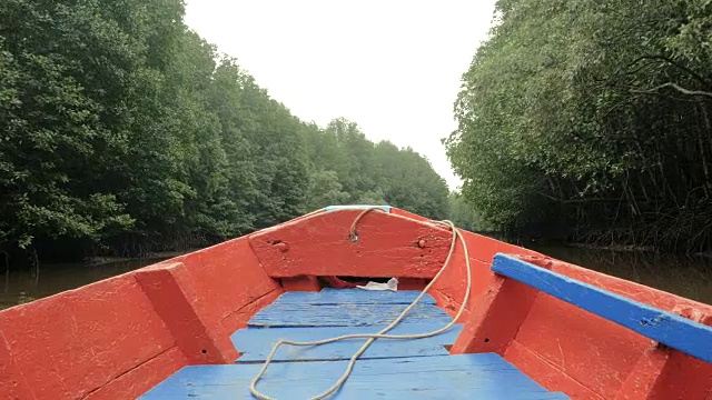 船观近河口红树林，保护海洋自然环境