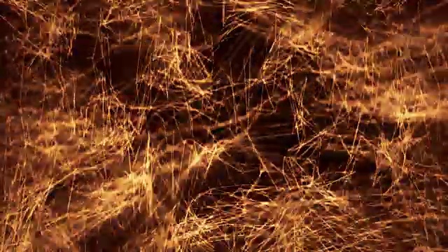 网络数据流的高度详细动画