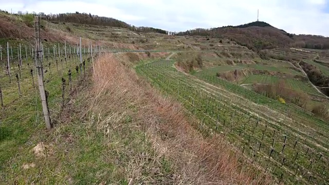 火山葡萄园，葡萄产区，凯撒斯图尔，侵蚀，地质，4K