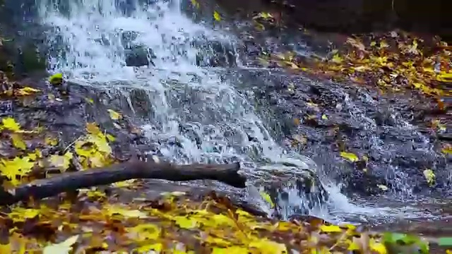 秋季森林瀑布景观