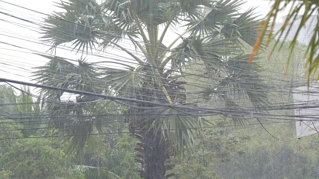 Rain位于热带国家。倾盆大雨下在街上