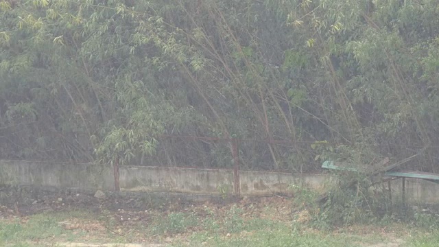 泰国的热带暴雨。雨,墙
