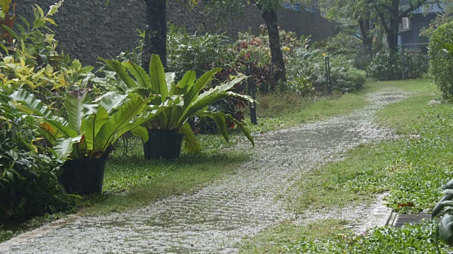 Rain位于热带国家。倾盆大雨下在街上