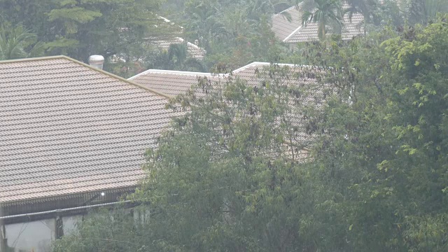 泰国的热带暴雨。雨,墙