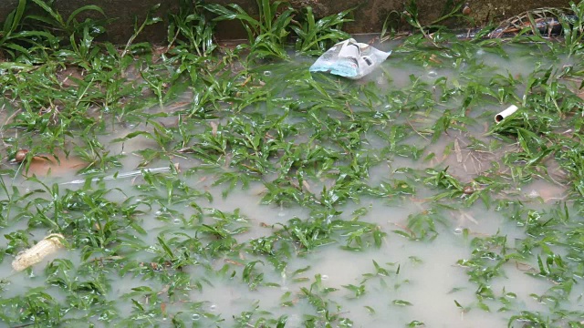 雨点滴落在大水坑上。泰国的热带雨量