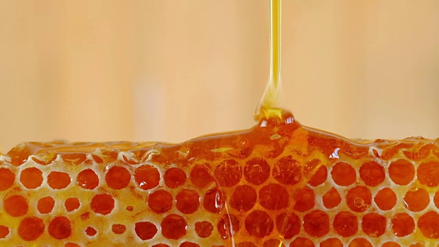 蜂蜜和蜂蜜用木棒梳
