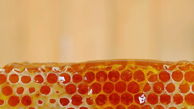 詳情圖-蜂蜜和蜂蜜用木棒梳