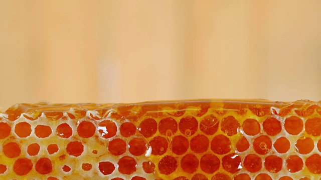 詳情圖-蜂蜜和蜂蜜用木棒梳