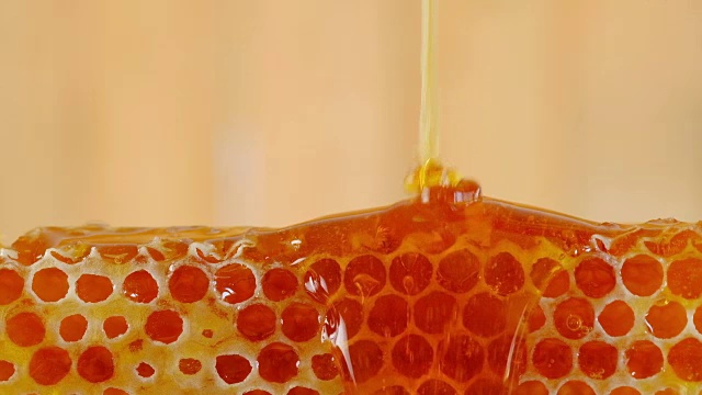 詳情圖-蜂蜜和蜂蜜用木棒梳