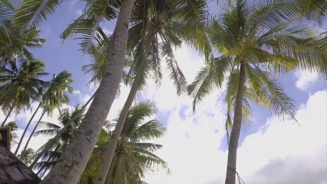 年轻女子放松和伸展在菲律宾热带岛屿海滩的吊床上的慢动作视频。高清格式。人们旅游度假放松的概念。
