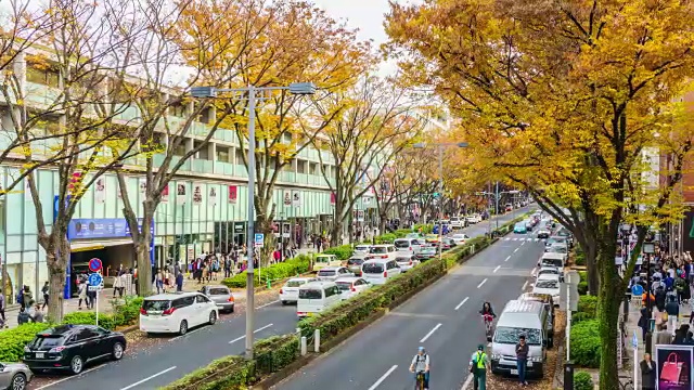 4K延时平移:人群穿过表手山渡路