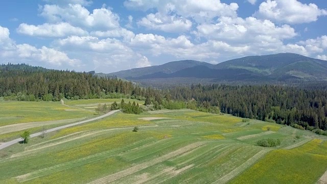 在阳光明媚的春日，空中的绿色景观