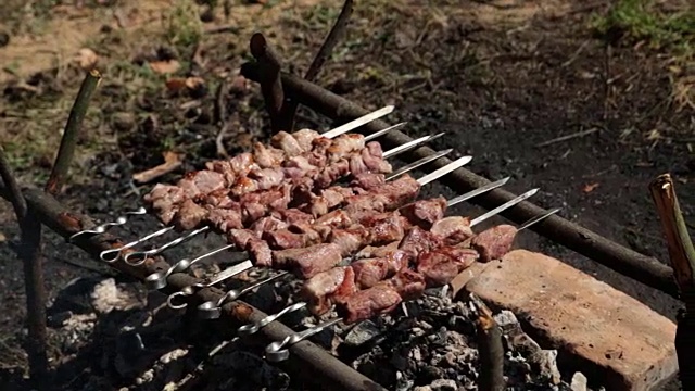 烧烤，油炸鲜肉，鸡肉烧烤，香肠，烤肉串，汉堡，蔬菜，烧烤，烧烤，海鲜。烤辣椒和洋葱。镜头:阳光明媚的户外厨师把肉放在烤架上烤