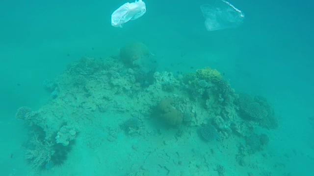 垃圾漂浮在红海的珊瑚礁上