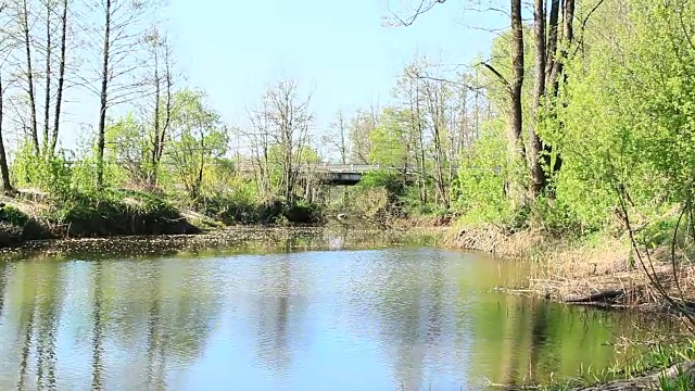 景观与洪水沼泽在春天。春天的观点。水风景