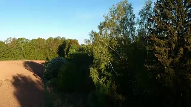无人机在美丽的清晨农场上空飞行