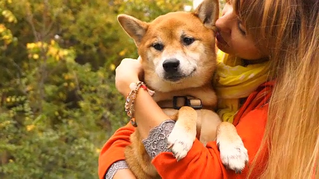 女孩和狗狗柴犬在户外