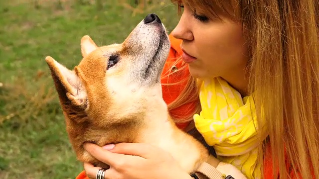 女孩和狗狗柴犬在户外