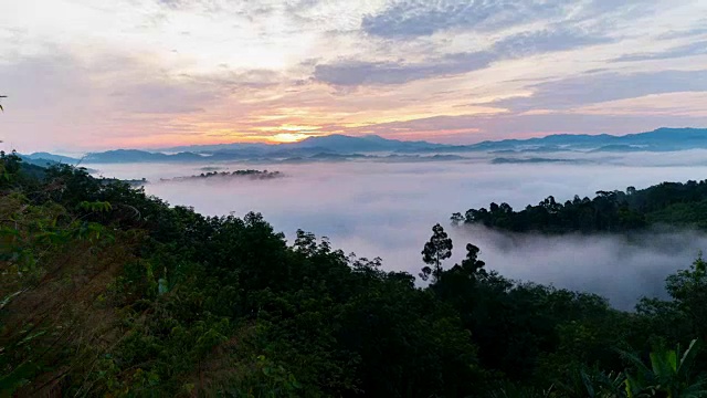 晨雾在山间流淌，热带雨林和美丽的日出风景一览无余