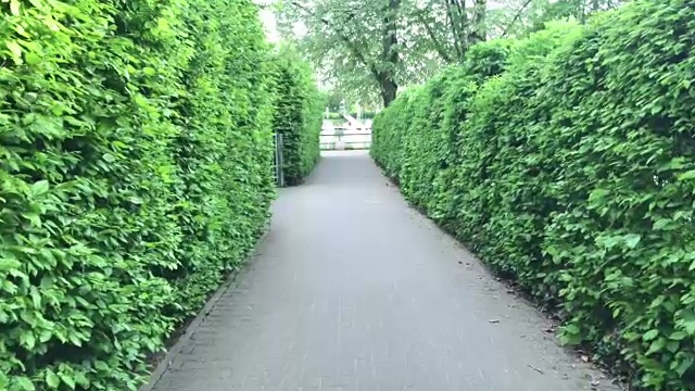 绿色的大自然