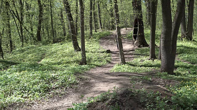 一个成年人沿着小路往山上跑