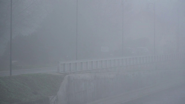 河水在雾天，水面宁静的景象，树倒影在池塘里