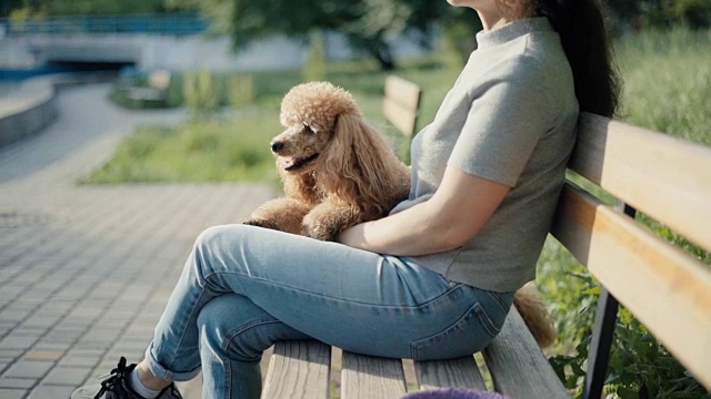 一个年轻女子和她的狗坐在公园的长椅上。缓慢的运动。