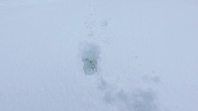 沿着积雪覆盖的道路行走，雪地上有脚印