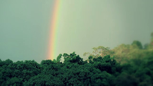 彩虹在热带常绿雨林上空形成的时间间隔