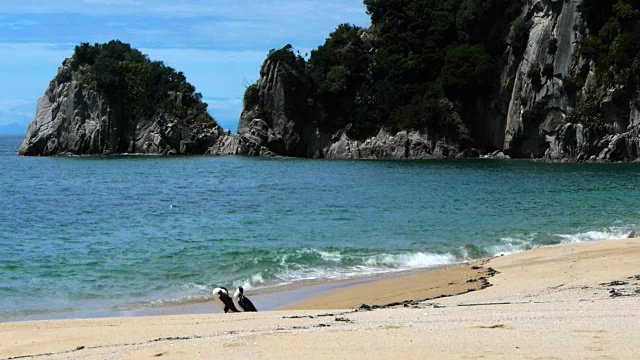 海滨沙滩上