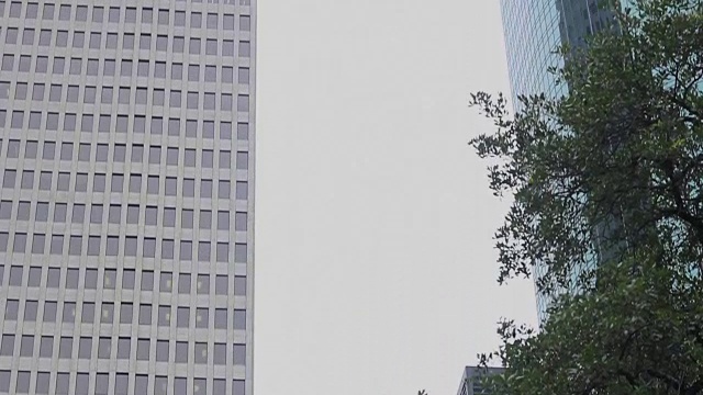 向城市景观倾斜的树木人行道
