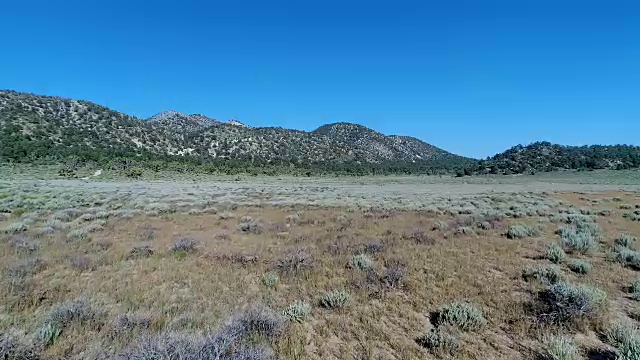 在圣贝纳迪诺山脉的山艾树平原上飞得很低