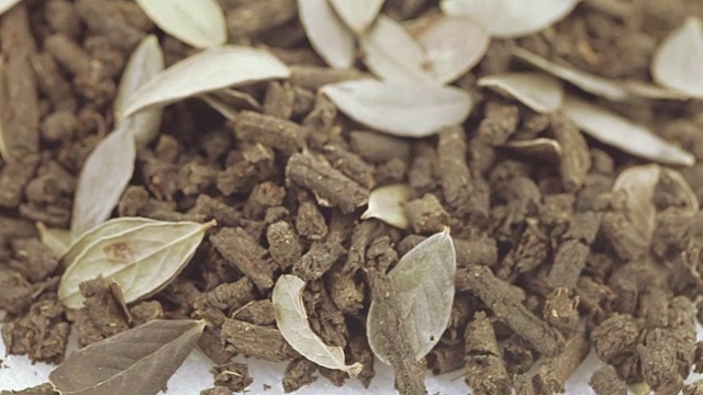 詳情圖-伊萬(wàn)用越橘葉泡茶