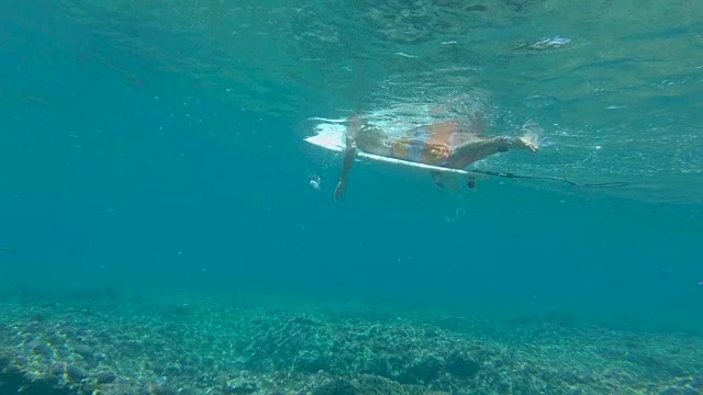慢镜头:一个面目全的冲浪者躺在他的冲浪板上，在海里划桨。