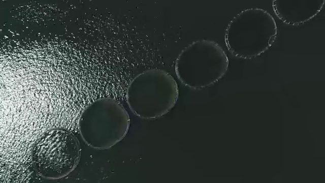 养殖场的水产养殖网