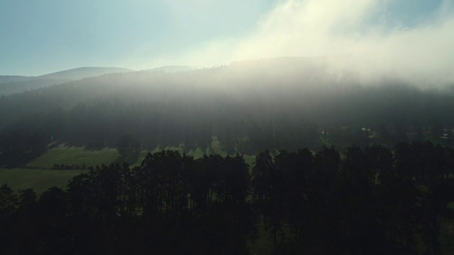 森林景觀和春山晨霧