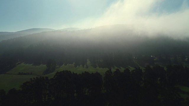 詳情圖-森林景觀和春山晨霧