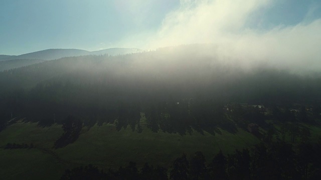 詳情圖-森林景觀和春山晨霧