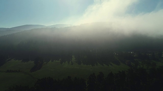 詳情圖-森林景觀和春山晨霧
